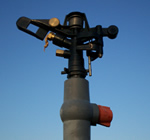 Irrigation sprinkler head